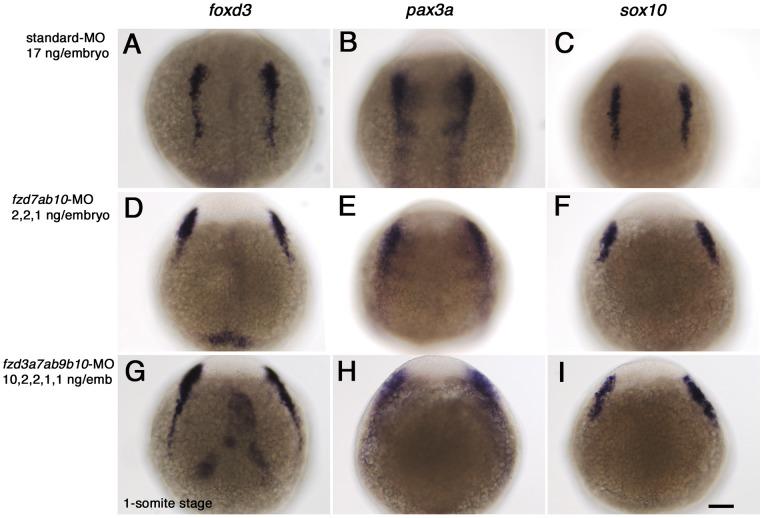 https://cdn.ncbi.nlm.nih.gov/pmc/blobs/06a9/3551900/6ef89f3cd5a2/pone.0054833.g005.jpg