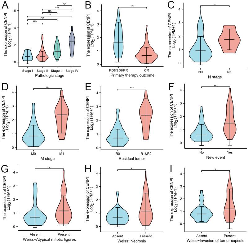 https://cdn.ncbi.nlm.nih.gov/pmc/blobs/06aa/10350421/b512b4fdfd7e/JIR-16-2907-g0005.jpg