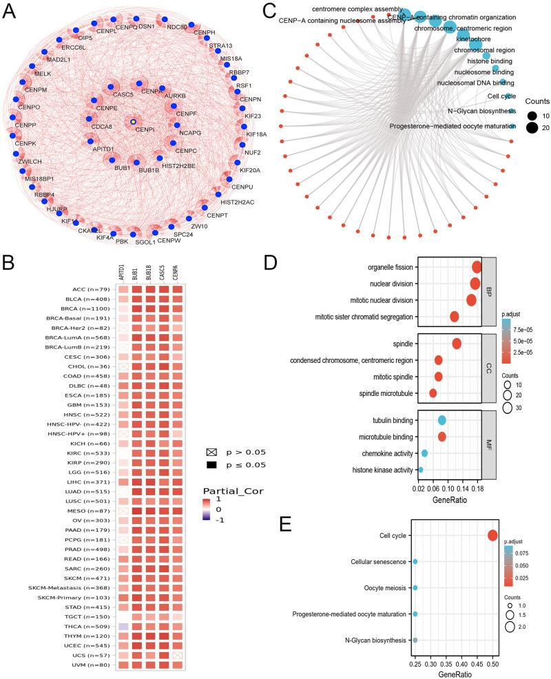 https://cdn.ncbi.nlm.nih.gov/pmc/blobs/06aa/10350421/c10aeccbea79/JIR-16-2907-g0002.jpg