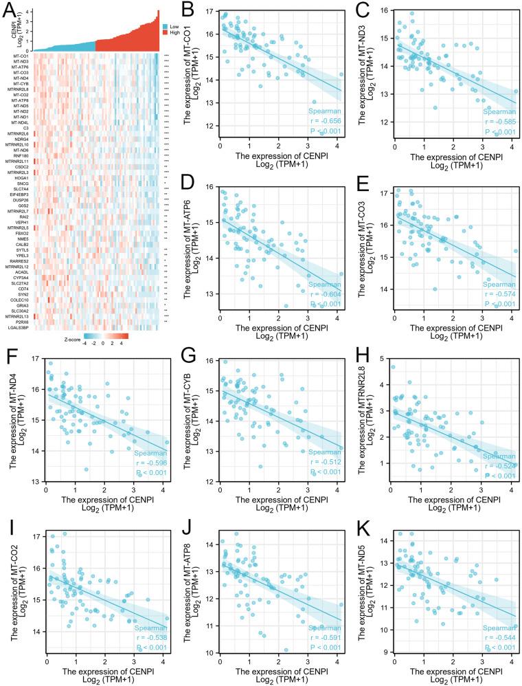 https://cdn.ncbi.nlm.nih.gov/pmc/blobs/06aa/10350421/dd53c6ea1acd/JIR-16-2907-g0009.jpg