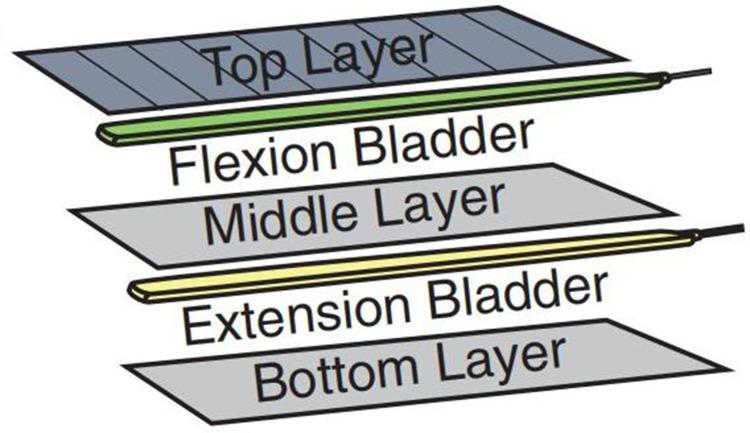 https://cdn.ncbi.nlm.nih.gov/pmc/blobs/06ab/10772600/76a39b3d3a14/MDER-17-1-g0019.jpg