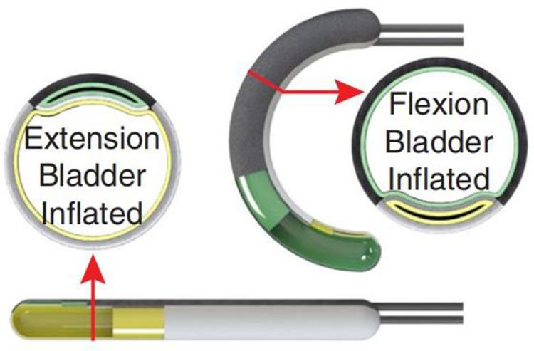 https://cdn.ncbi.nlm.nih.gov/pmc/blobs/06ab/10772600/8391c17963fc/MDER-17-1-g0020.jpg