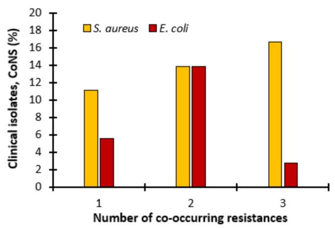 https://cdn.ncbi.nlm.nih.gov/pmc/blobs/06ab/12072324/027e1f22f0de/ijms-26-04424-g005.jpg