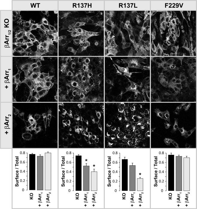 https://cdn.ncbi.nlm.nih.gov/pmc/blobs/06b2/7272623/4659a8c88417/41598_2020_65996_Fig1_HTML.jpg