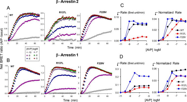 https://cdn.ncbi.nlm.nih.gov/pmc/blobs/06b2/7272623/a1337a3a75ca/41598_2020_65996_Fig5_HTML.jpg