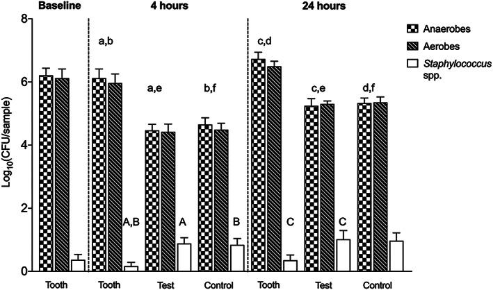 https://cdn.ncbi.nlm.nih.gov/pmc/blobs/06b2/8019762/8642971ddb5c/CRE2-7-137-g006.jpg