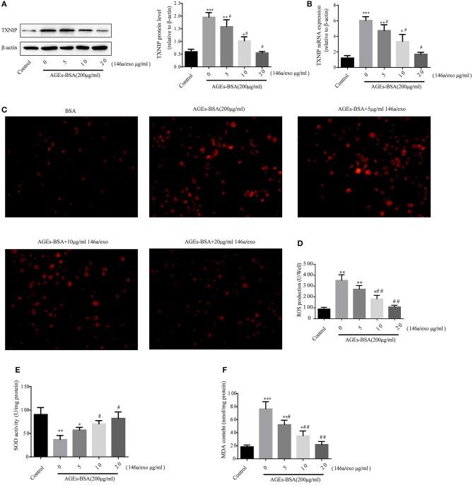 https://cdn.ncbi.nlm.nih.gov/pmc/blobs/06b3/6160580/1971c23df4fb/fendo-09-00524-g0009.jpg
