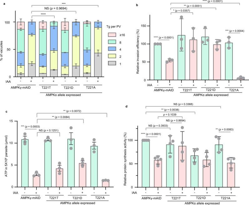 https://cdn.ncbi.nlm.nih.gov/pmc/blobs/06b7/9880002/5b93a9f88578/41467_2023_36084_Fig5_HTML.jpg