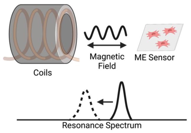https://cdn.ncbi.nlm.nih.gov/pmc/blobs/06b8/8839310/99d3ec4c0237/sensors-22-00827-g001.jpg