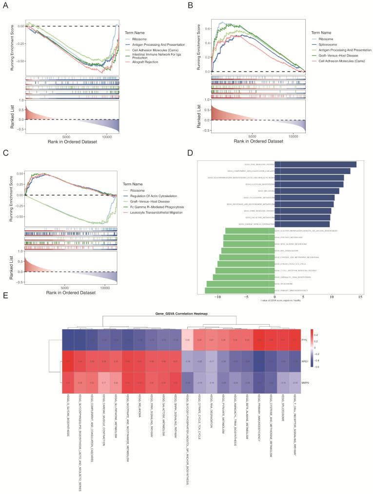 https://cdn.ncbi.nlm.nih.gov/pmc/blobs/06ba/12398980/a8646749af19/40246_2025_818_Fig7_HTML.jpg