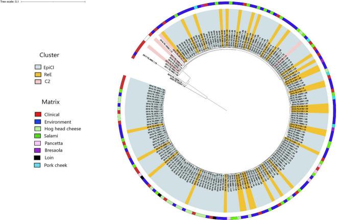 https://cdn.ncbi.nlm.nih.gov/pmc/blobs/06bd/8600327/732a16420cd0/fmicb-12-750065-g002.jpg