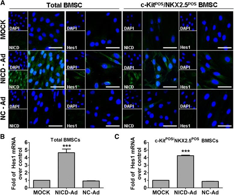 https://cdn.ncbi.nlm.nih.gov/pmc/blobs/06be/4446115/0fc6c4b4c118/13287_2015_85_Fig4_HTML.jpg