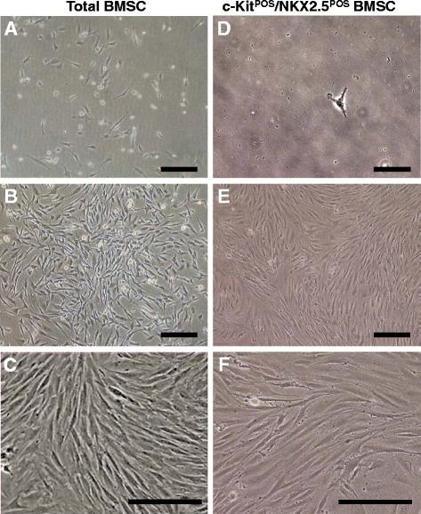 https://cdn.ncbi.nlm.nih.gov/pmc/blobs/06be/4446115/7e0273c6d57b/13287_2015_85_Fig1_HTML.jpg
