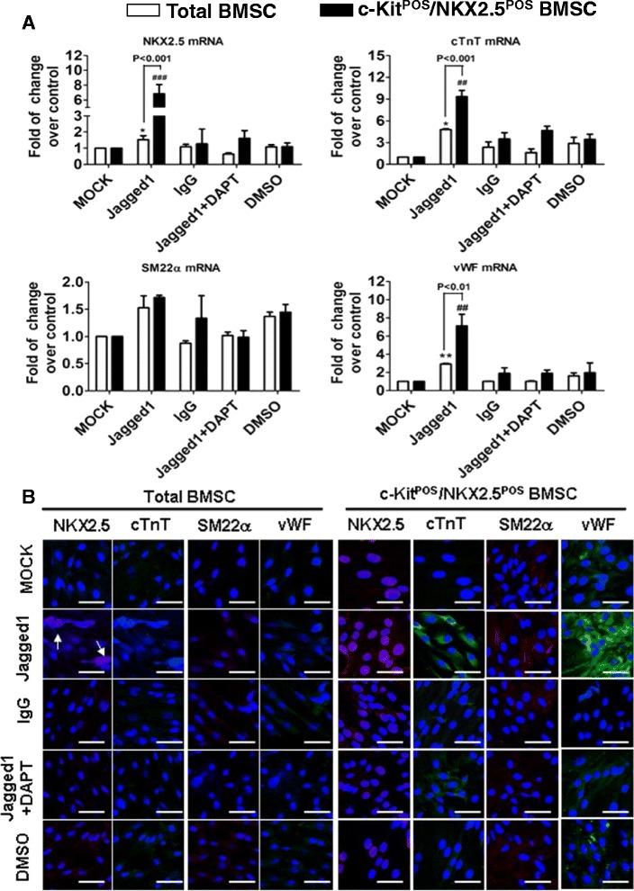 https://cdn.ncbi.nlm.nih.gov/pmc/blobs/06be/4446115/a1c3f71765f0/13287_2015_85_Fig7_HTML.jpg