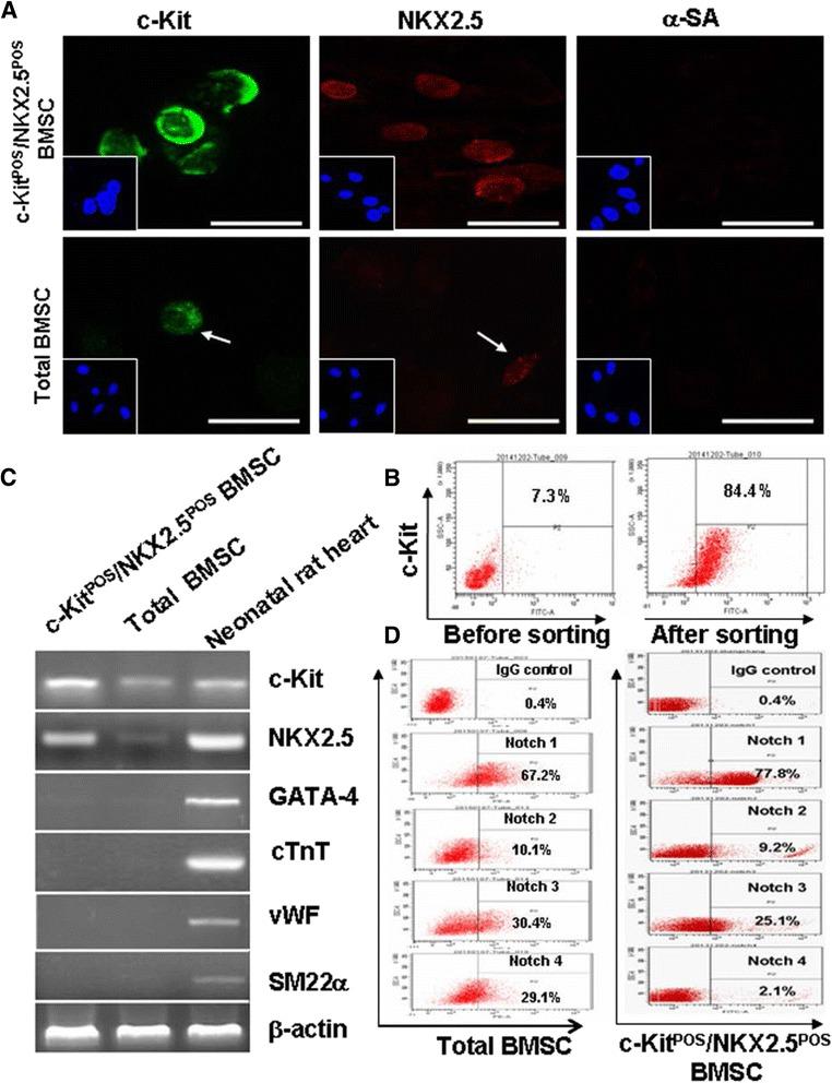 https://cdn.ncbi.nlm.nih.gov/pmc/blobs/06be/4446115/ffe95a60893e/13287_2015_85_Fig2_HTML.jpg