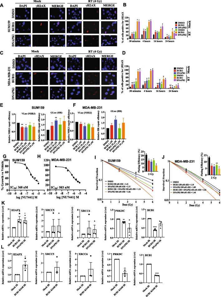 https://cdn.ncbi.nlm.nih.gov/pmc/blobs/06c0/11167950/15e81bdf70bf/13046_2024_3086_Fig6_HTML.jpg
