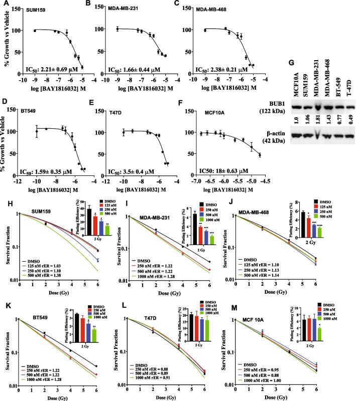 https://cdn.ncbi.nlm.nih.gov/pmc/blobs/06c0/11167950/4cf8f950f582/13046_2024_3086_Fig2_HTML.jpg