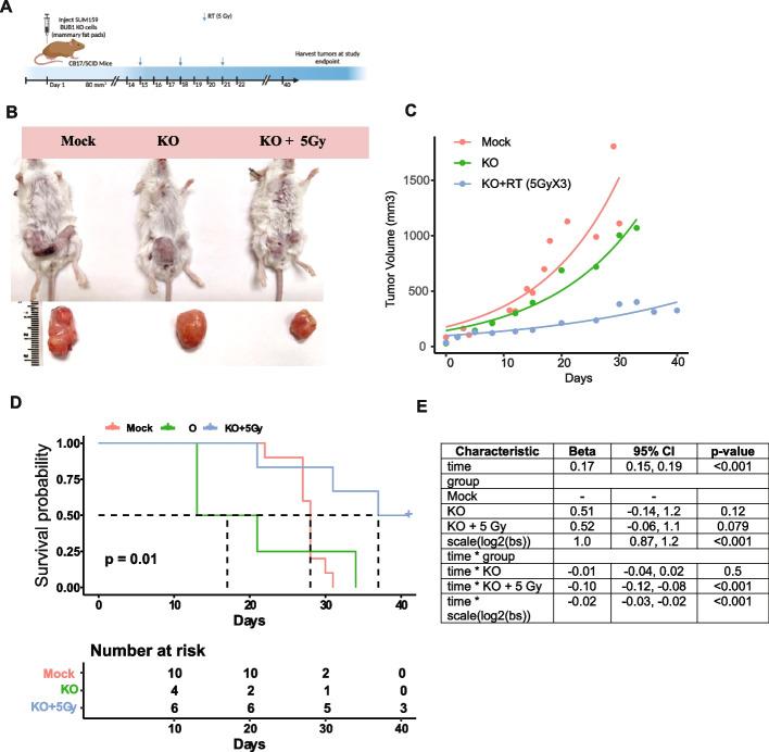 https://cdn.ncbi.nlm.nih.gov/pmc/blobs/06c0/11167950/59d41ede5e97/13046_2024_3086_Fig5_HTML.jpg