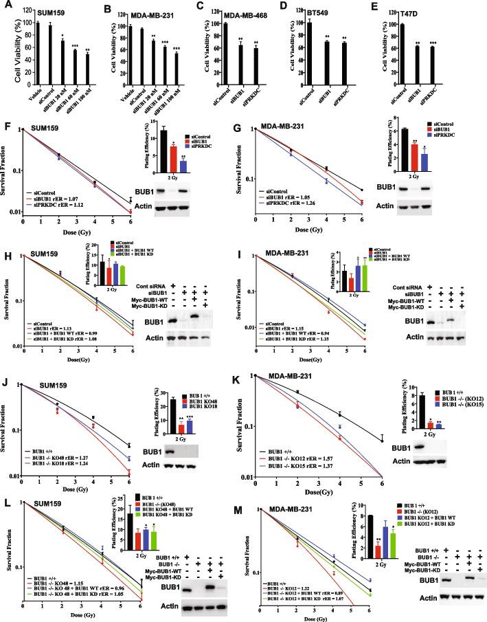 https://cdn.ncbi.nlm.nih.gov/pmc/blobs/06c0/11167950/7eaae9e6af98/13046_2024_3086_Fig3_HTML.jpg