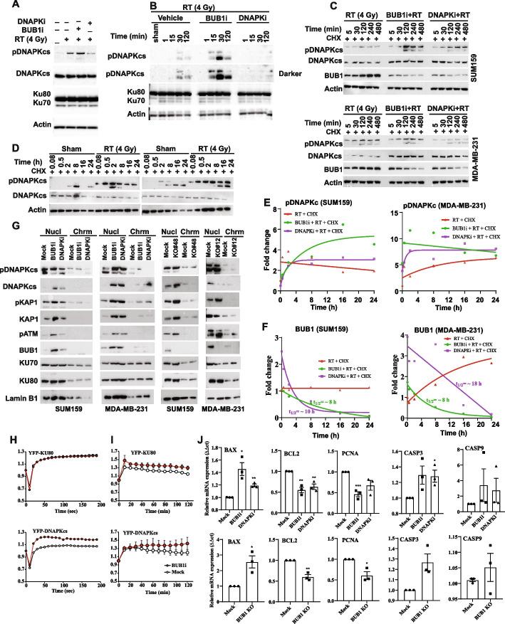 https://cdn.ncbi.nlm.nih.gov/pmc/blobs/06c0/11167950/ebb42df26960/13046_2024_3086_Fig7_HTML.jpg