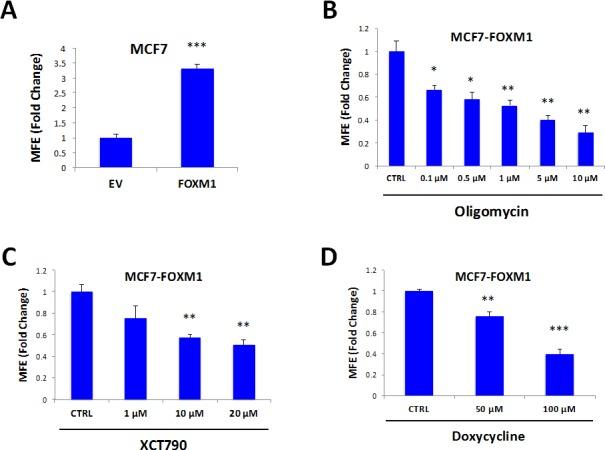 https://cdn.ncbi.nlm.nih.gov/pmc/blobs/06c0/4558115/22c2d07f32c6/oncotarget-06-14777-g008.jpg