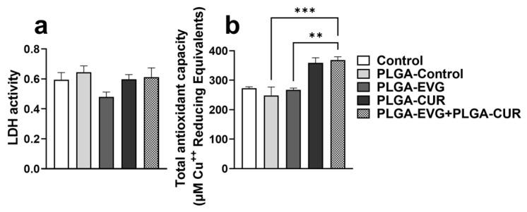 https://cdn.ncbi.nlm.nih.gov/pmc/blobs/06c4/12025016/04c383a4e477/brainsci-15-00328-g001.jpg