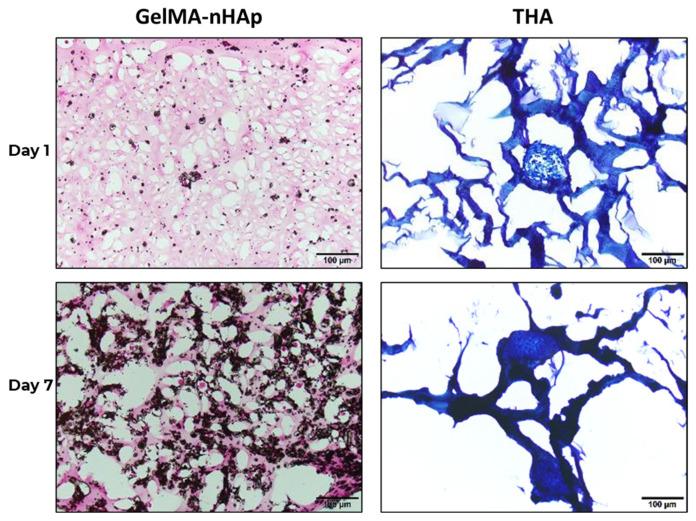https://cdn.ncbi.nlm.nih.gov/pmc/blobs/06c5/10673417/5d57fc5bdffe/materials-16-07214-g006.jpg