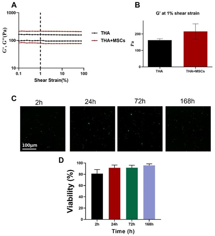 https://cdn.ncbi.nlm.nih.gov/pmc/blobs/06c5/10673417/b2cf564d9afc/materials-16-07214-g003.jpg