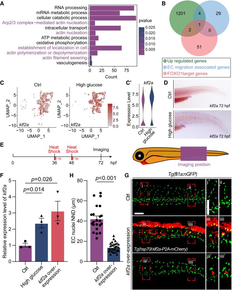 https://cdn.ncbi.nlm.nih.gov/pmc/blobs/06c6/11856006/4487fbc43e48/atv-45-398-g005.jpg