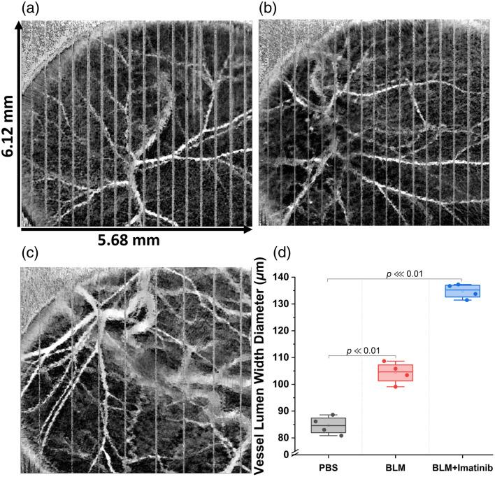 https://cdn.ncbi.nlm.nih.gov/pmc/blobs/06c6/11949416/4a628ef8250a/JBO-030-036007-g006.jpg