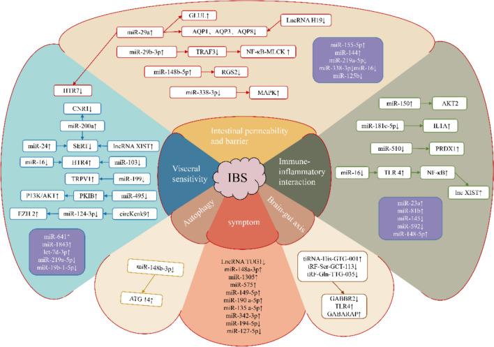 https://cdn.ncbi.nlm.nih.gov/pmc/blobs/06c8/11226481/edb7456215bf/10238_2024_1396_Fig7_HTML.jpg