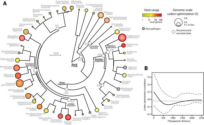 https://cdn.ncbi.nlm.nih.gov/pmc/blobs/06c9/5315462/140bdb8409e9/elife-22472-fig3.jpg