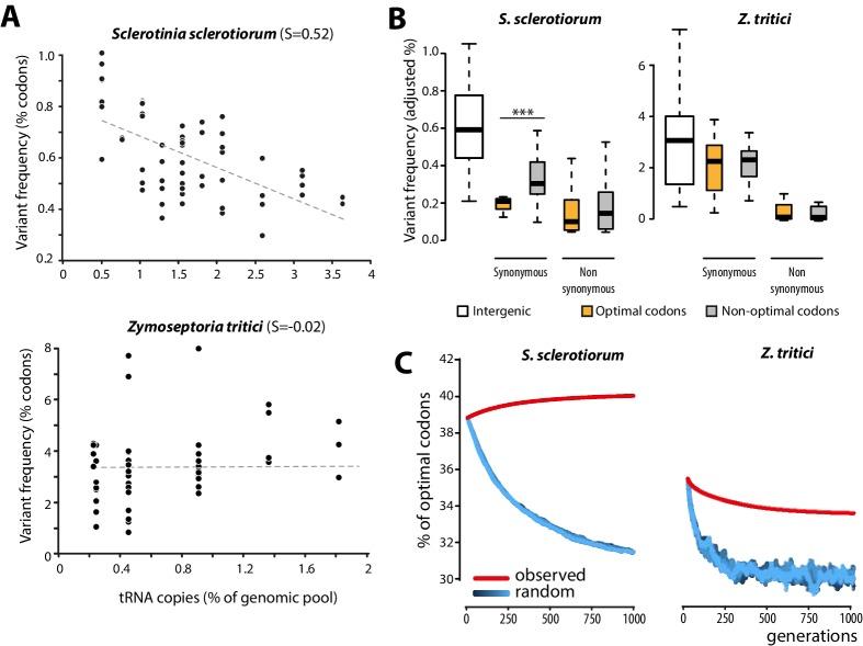 https://cdn.ncbi.nlm.nih.gov/pmc/blobs/06c9/5315462/72bd23fbde3e/elife-22472-fig4.jpg