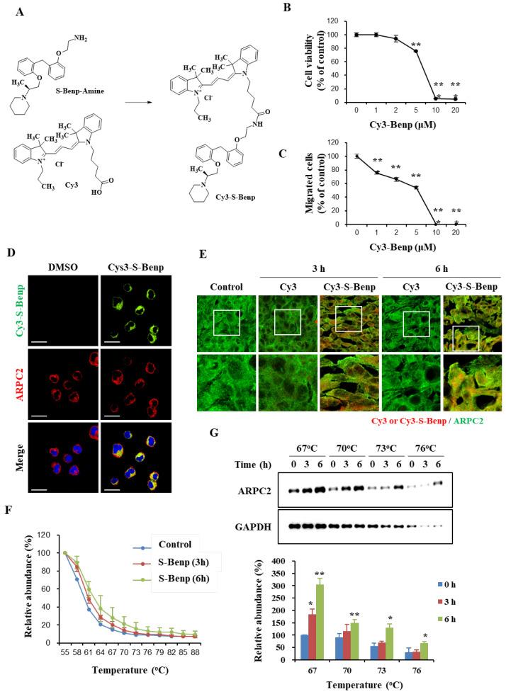 https://cdn.ncbi.nlm.nih.gov/pmc/blobs/06c9/9785746/0bd6c2bcc875/pharmaceuticals-15-01462-g006.jpg