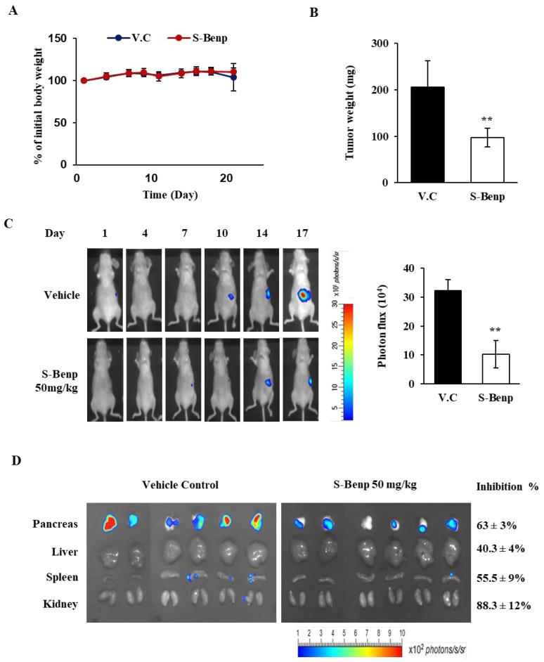 https://cdn.ncbi.nlm.nih.gov/pmc/blobs/06c9/9785746/e5c434f61f85/pharmaceuticals-15-01462-g003.jpg