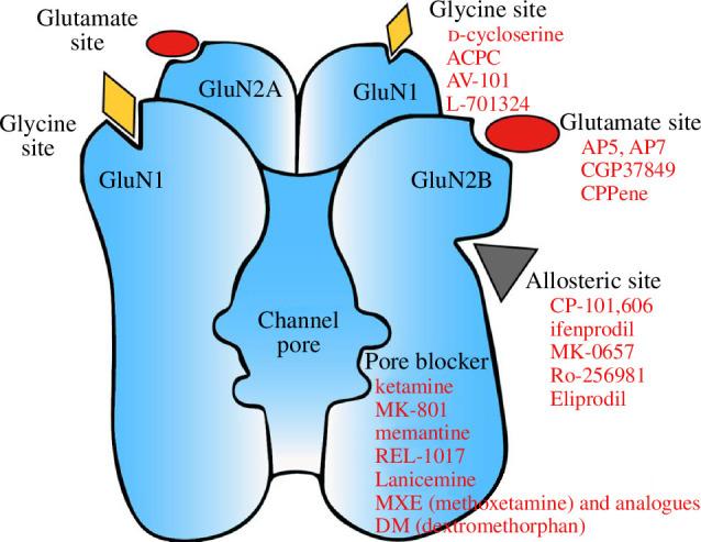 https://cdn.ncbi.nlm.nih.gov/pmc/blobs/06cc/11343275/22ad0580bc0b/rstb.2023.0225.f001.jpg