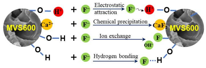 https://cdn.ncbi.nlm.nih.gov/pmc/blobs/06cd/10675684/251bdf5d1e7b/molecules-28-07617-g014.jpg