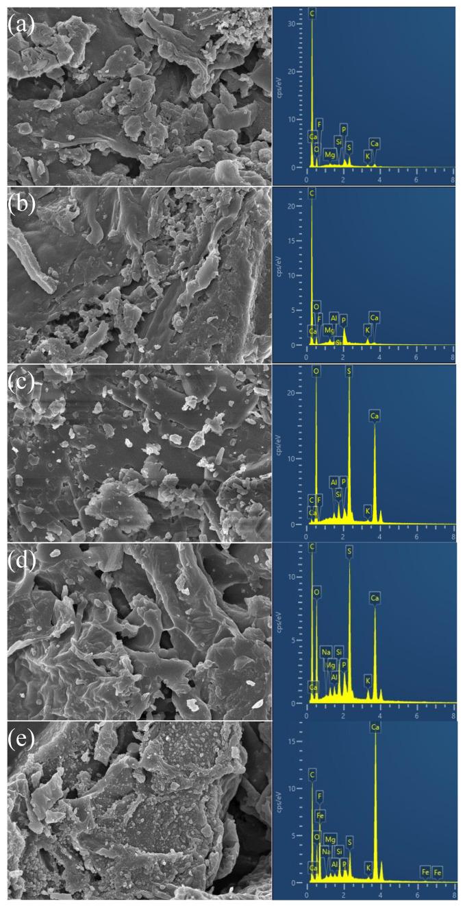 https://cdn.ncbi.nlm.nih.gov/pmc/blobs/06cd/10675684/dae68444b672/molecules-28-07617-g001.jpg