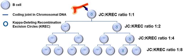 https://cdn.ncbi.nlm.nih.gov/pmc/blobs/06cd/8336914/83cf169d262f/nihms-1719407-f0001.jpg