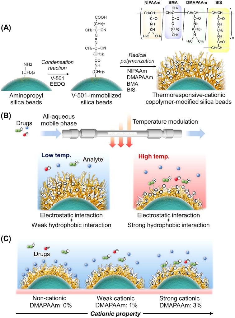 https://cdn.ncbi.nlm.nih.gov/pmc/blobs/06ce/9329465/b1d9c0114693/41598_2022_16928_Fig1_HTML.jpg