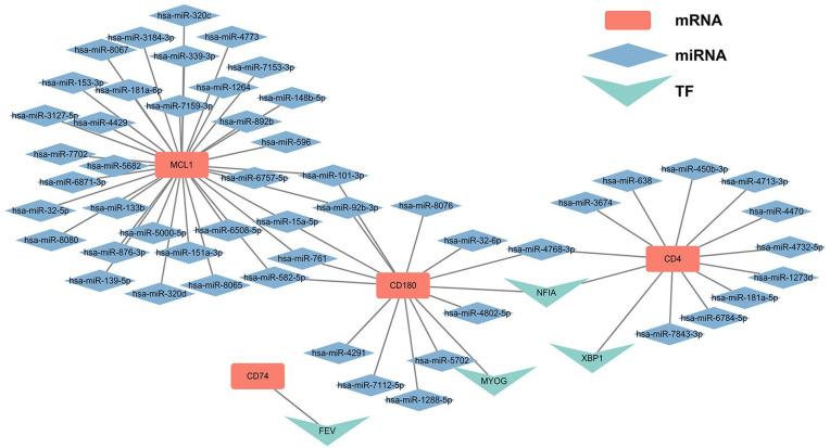 https://cdn.ncbi.nlm.nih.gov/pmc/blobs/06d0/9523839/ee80f5386837/10.1177_09636897221124485-fig7.jpg