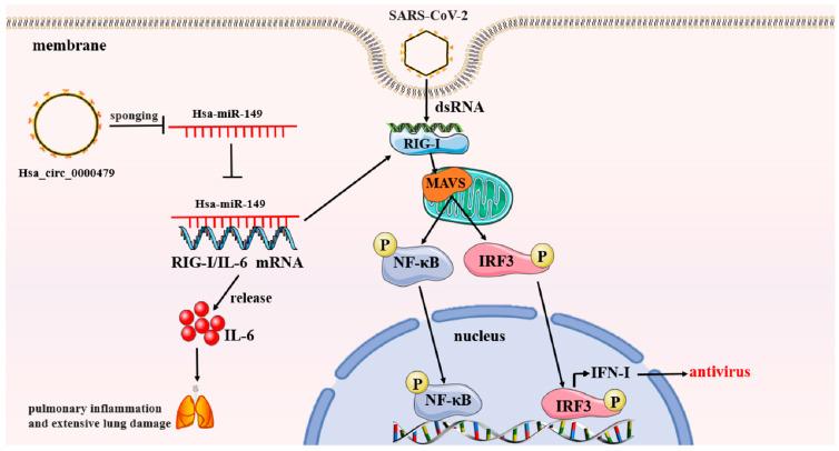 https://cdn.ncbi.nlm.nih.gov/pmc/blobs/06d1/10526236/615ee593e117/biomolecules-13-01344-g003.jpg