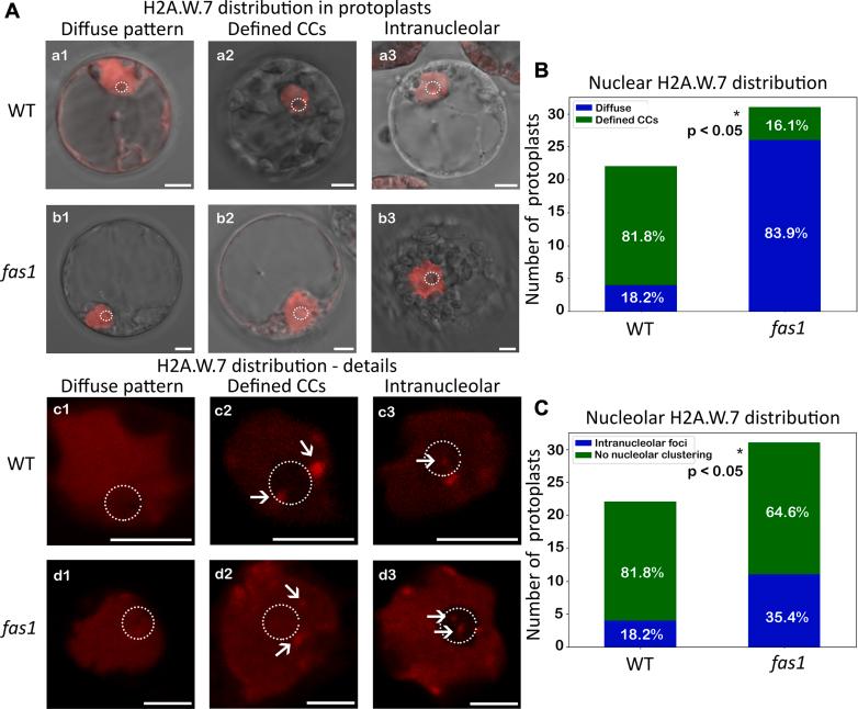 https://cdn.ncbi.nlm.nih.gov/pmc/blobs/06d1/11263794/152f27301e1f/gr2.jpg