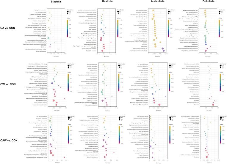 https://cdn.ncbi.nlm.nih.gov/pmc/blobs/06d2/10740944/fdf6f4820986/biology-12-01520-g005.jpg