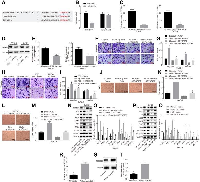 https://cdn.ncbi.nlm.nih.gov/pmc/blobs/06d4/6631643/0765eeffe02d/13046_2019_1313_Fig6_HTML.jpg