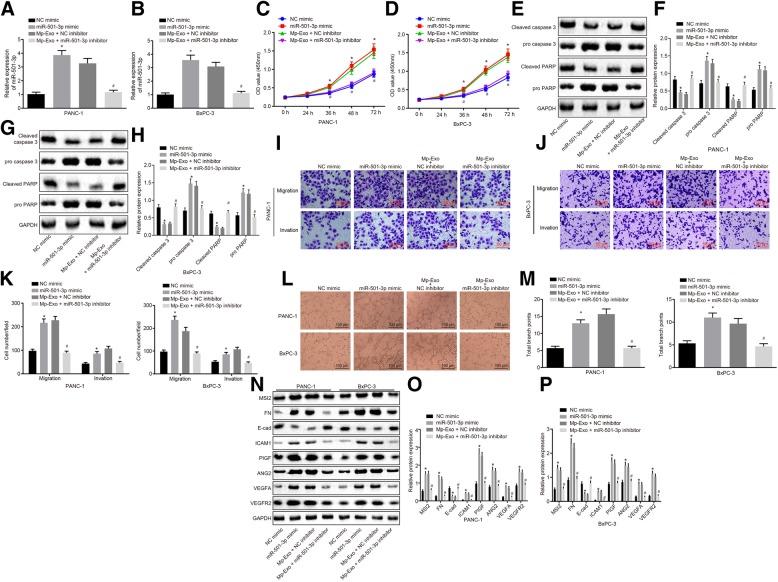 https://cdn.ncbi.nlm.nih.gov/pmc/blobs/06d4/6631643/867ffda226f5/13046_2019_1313_Fig4_HTML.jpg