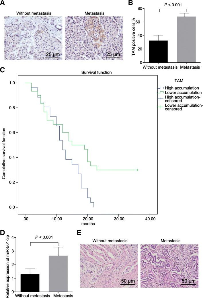 https://cdn.ncbi.nlm.nih.gov/pmc/blobs/06d4/6631643/8ef2161d9ca2/13046_2019_1313_Fig1_HTML.jpg