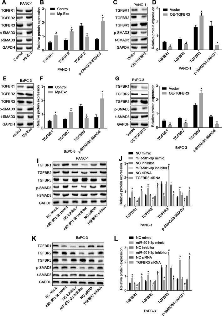 https://cdn.ncbi.nlm.nih.gov/pmc/blobs/06d4/6631643/b52c1c19c849/13046_2019_1313_Fig7_HTML.jpg