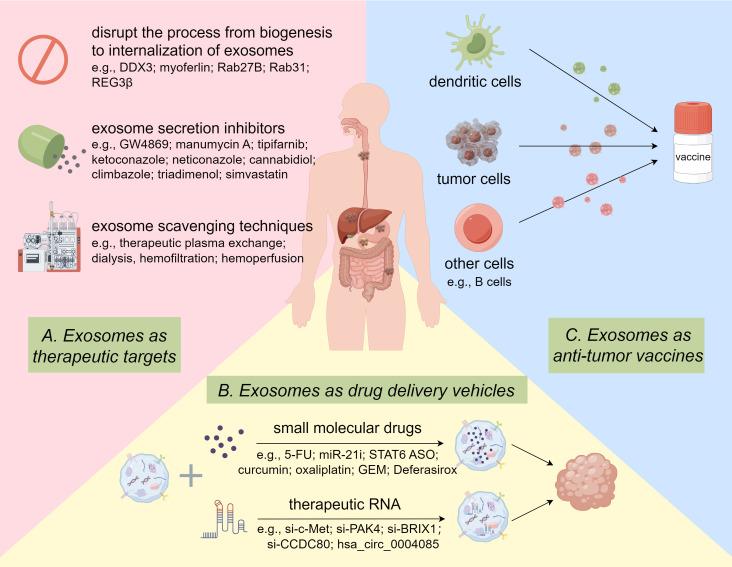 https://cdn.ncbi.nlm.nih.gov/pmc/blobs/06d8/12106034/0210182a7dd1/fonc-15-1540643-g004.jpg