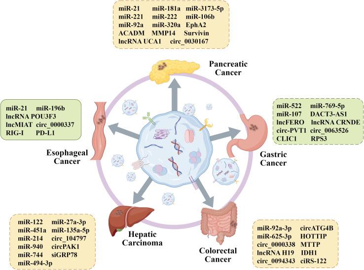 https://cdn.ncbi.nlm.nih.gov/pmc/blobs/06d8/12106034/3de176587626/fonc-15-1540643-g003.jpg
